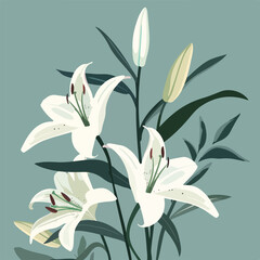Elegant blooming lilies with buds, cut out