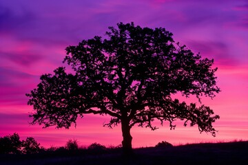 Fototapeta na wymiar AI generated illustration of a silhouetted tree against stunning sunset sky