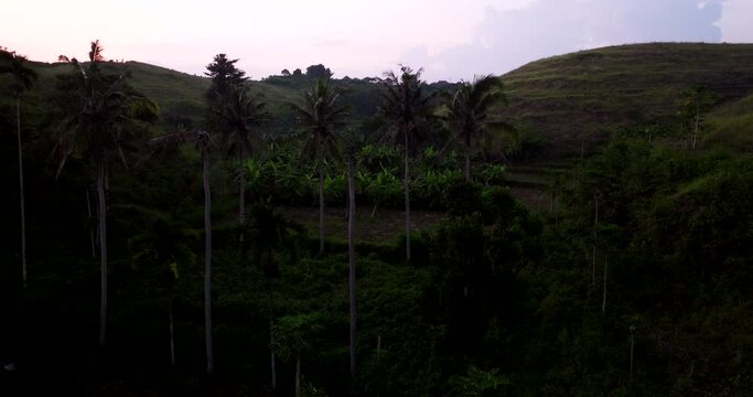 Teletubbies Hill at sunset, Nusa Penida, Bali in Indonesia. Aerial forward