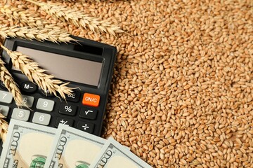 Dollar banknotes, calculator and wheat ears on grains, closeup. Agricultural business