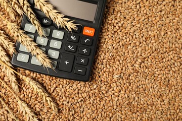 Calculator and wheat ears on grains, top view. Agricultural business