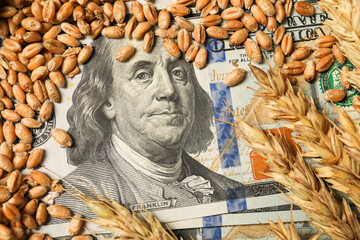Dollar banknotes, wheat ears and grains, closeup. Agricultural business