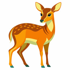 Exquisite Chinese Water Deer Vector Illustrations: Capturing Nature's Grace