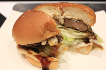 tasty hamburger on a plate