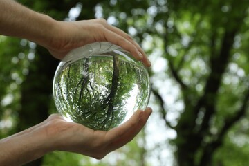 Beautiful green trees outdoors, overturned reflection. Man holding crystal ball in park, closeup. Space for text