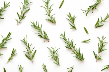 Fototapeta premium Rosemary twig and leaves isolated on white background top view