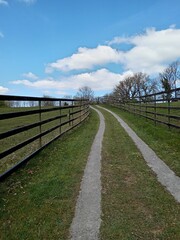 wooden fence along a green lawn and a dirt road on a spring day in the park