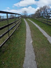 wooden fence along a green lawn and a dirt road on a spring day in the park