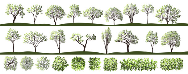 Tree silhouettes for the landscape design. Trees top and frontal view for architectural floor plans. Entourage design. Vector illustration.