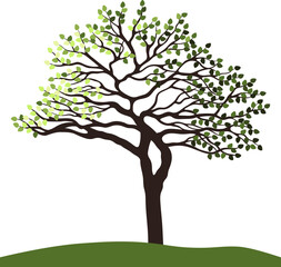 Obraz premium Tree silhouette for the landscape design. Entourage design. Vector illustration.