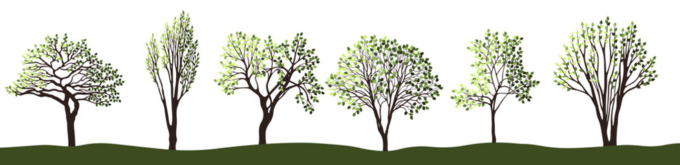 Tree silhouettes for the landscape design. Entourage design. Vector illustration.
