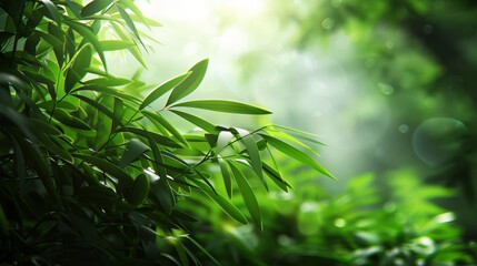 Vibrant green bamboo leaves with sunlight casting a soft glow, evoking calmness and growth.