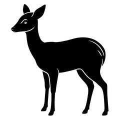 Graceful Chinese Water Deer Silhouette: Captivating Wildlife Artistry