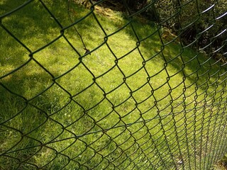 green lawn behind a net on a bright sunny day