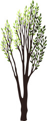 Fototapeta premium Tree silhouette for the landscape design. Entourage design. Vector illustration.