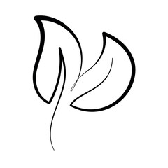 Calligraphy Monoline Two Black Leaves