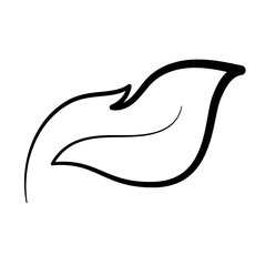 Calligraphy Monoline Black Leaf 3