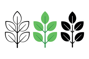 Plant Leaves Three Styles