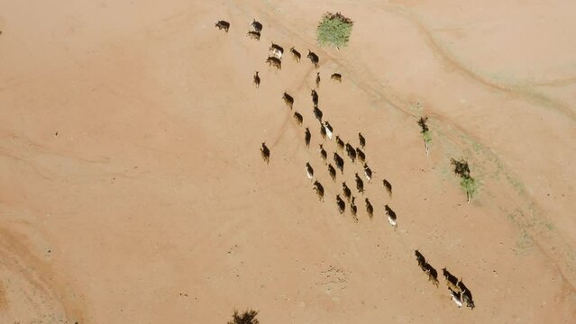 Republic of Namibia in Southern Africa