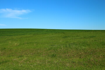 A grassy field with blue sky