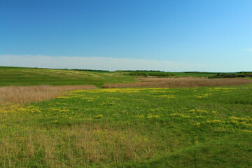 A grassy field with a blue sky