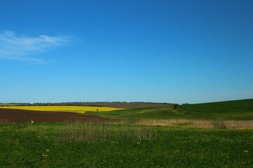 A green field with a rainbow
