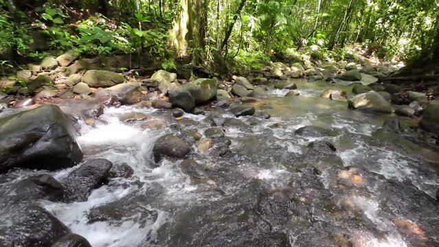 Gentle tracking shot through a picturesque river with gently flowing water and large stones 4K resolution