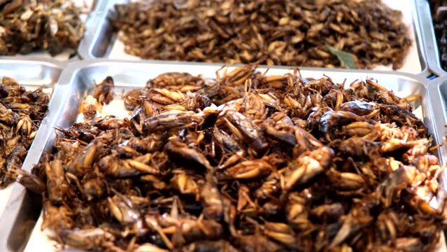 Varieties of edible cooked or fried insects, bugs, and crickets are displayed for tourists to buy.