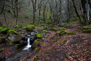 A waterfall flowing in the forest in spring