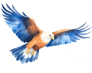 Obraz premium eagle, soaring eagle