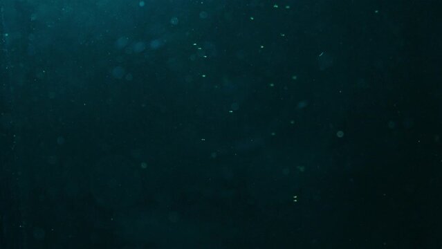 Slow motion, deep blue and black, liquid tank, small molecules falling