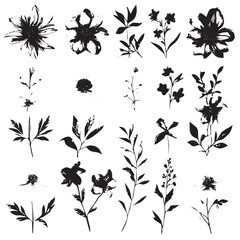 “Monochrome Magic: Floral Hearts, Fruity Outlines, Ink Circles, and Grungy Scribbles” 🖤🌸🍎🎨