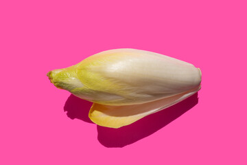pink yellow contrast color combination, abstract background of endive,