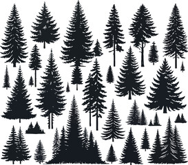 Obraz premium Trees silhouettes. Forest and park pines firs and spruces, coniferous and deciduous trees.
