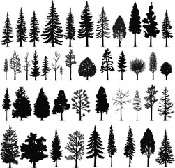 Fototapeta premium Trees silhouettes. Forest and park pines firs and spruces, coniferous and deciduous trees.