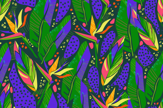 Tropical, bright pattern with flowers and leaves. Colorful strelitzia flowers, stromanthe triostar leaves, abstract elements on a dark background. Modern exotic pattern. Vector.