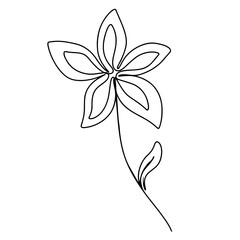 Continuous one line drawing of flower. vector graphic illustration