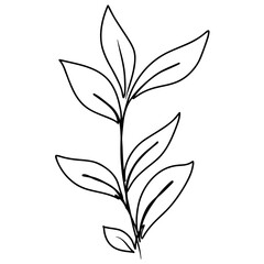 Continuous one line drawing of leaf branch. Doodle vector illustration