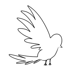 Continuous one line drawing of bird. Doodle vector illustration