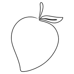 Continuous one line drawing of mango. Doodle vector illustration
