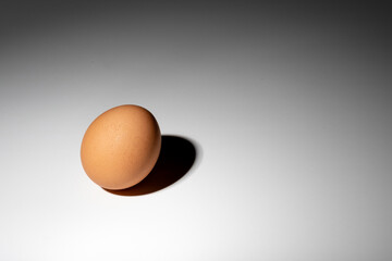 un oeuf sur un fond blanc dégradé noir avec une ombre obscure