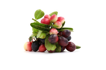 grapes and berries