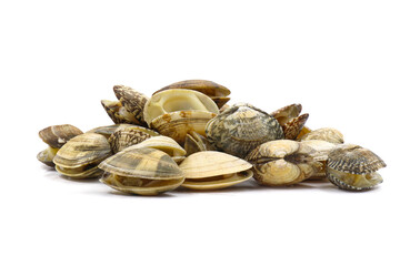 Closed up fresh baby clams, venus shell, shellfish, carpet clams, short necked clams, as raw food from the sea are the seafood ingredients. fresh clams Background.
