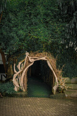 A tunnel in a jungle with plants and trees
