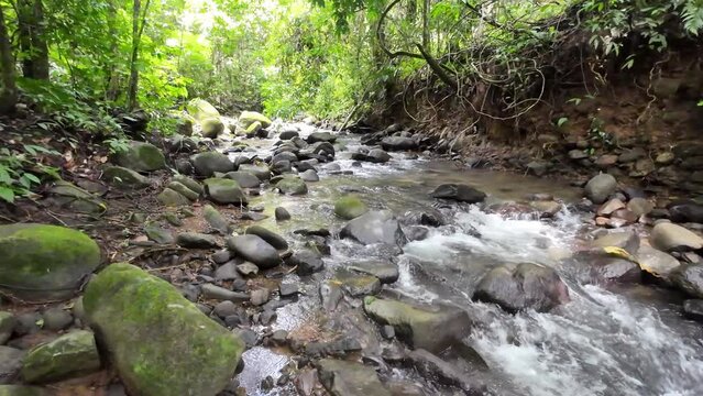 View of a Gentle tracking shot through a picturesque river with gently flowing water and large stones 4K resolution