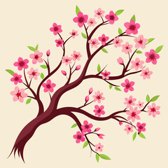 illustration of sakura