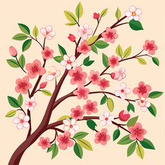 illustration of sakura