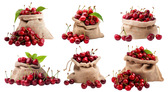 Set of ripe red cherries in burlap sacks, cut out