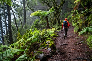Obraz premium The Great Outdoors - images inspired by the landscapes of the Portuguese Islands of Azores.