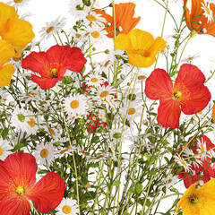  Small bouquet of wildflowers in a vase with poppy isolated on white background - obrazy, fototapety, plakaty